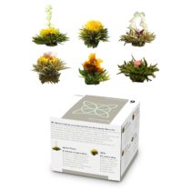 Čajové kvety 6 rôznych odrôd